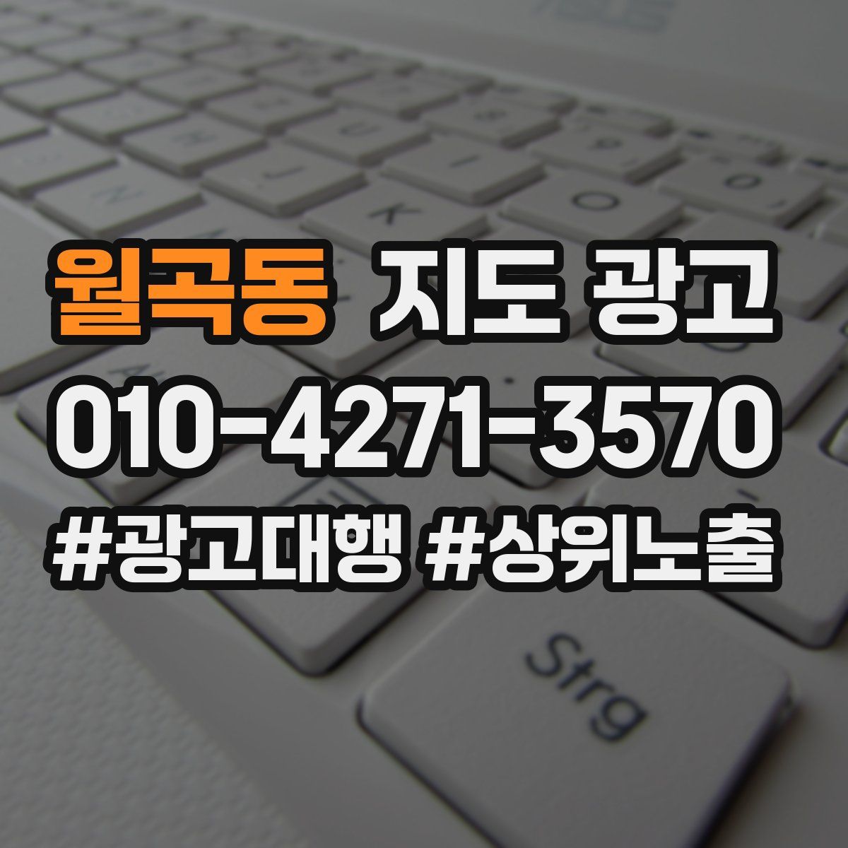 월곡동 지도 광고
