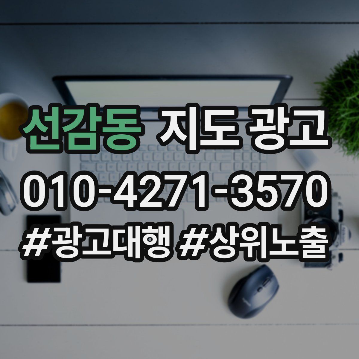 선감동 지도 광고