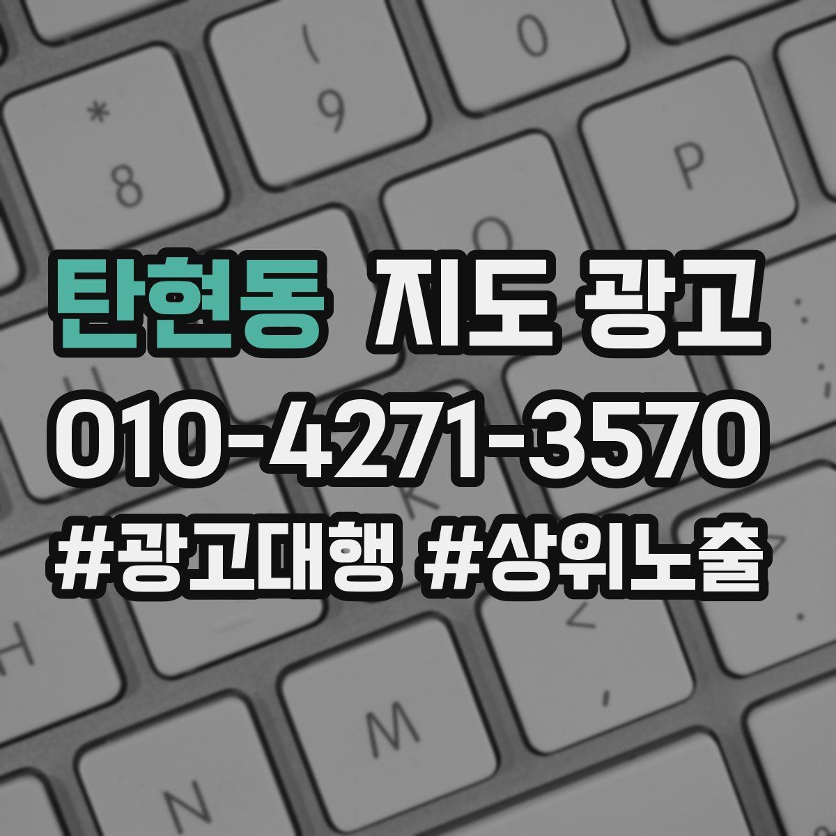 탄현동 지도 광고