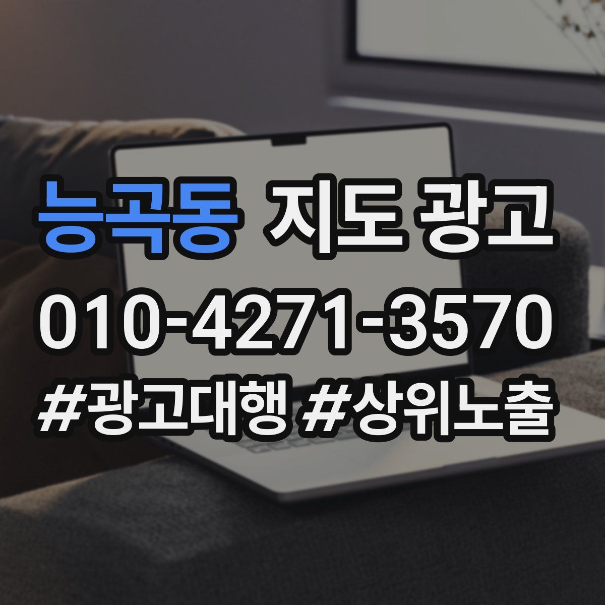 능곡동 지도 광고