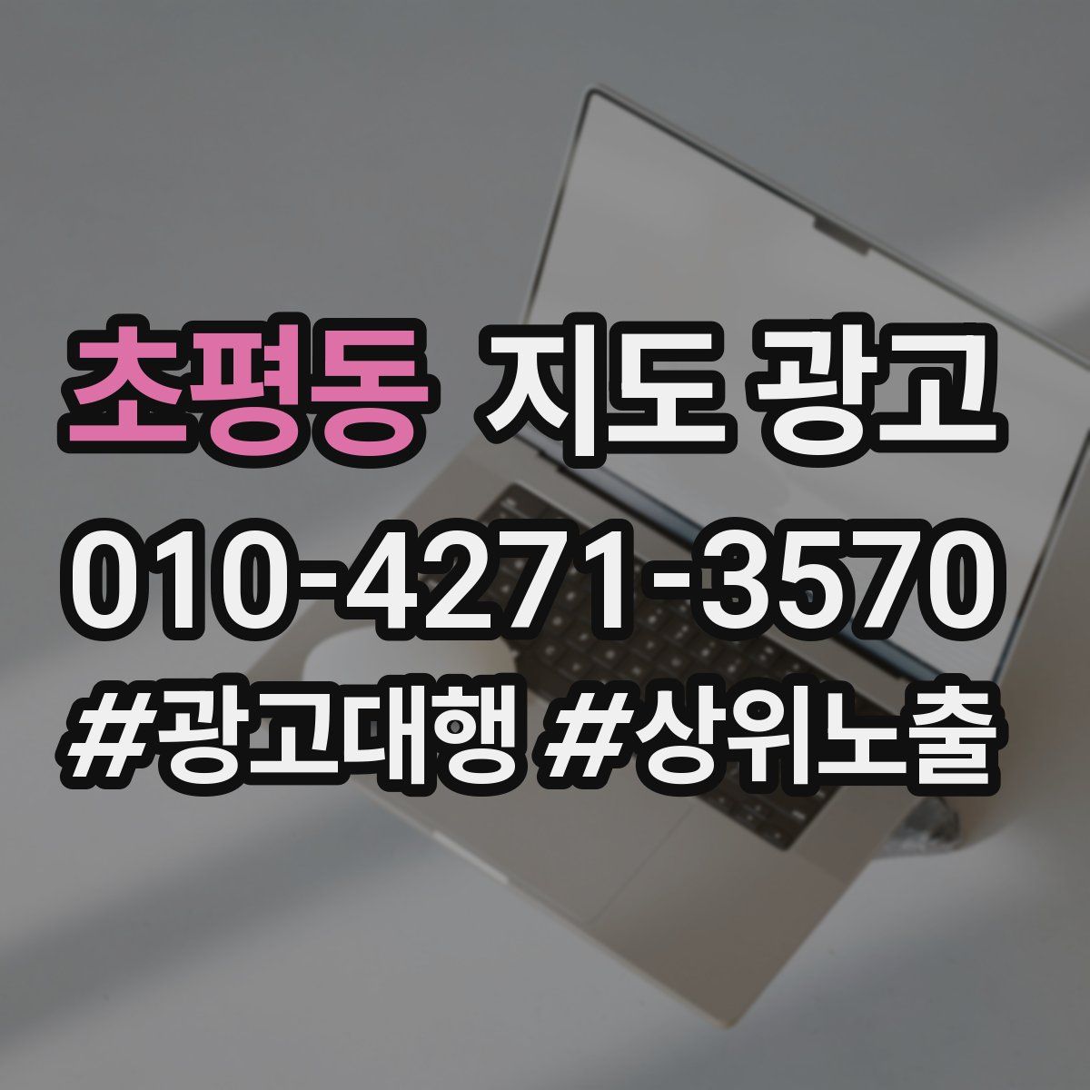 초평동 지도 광고