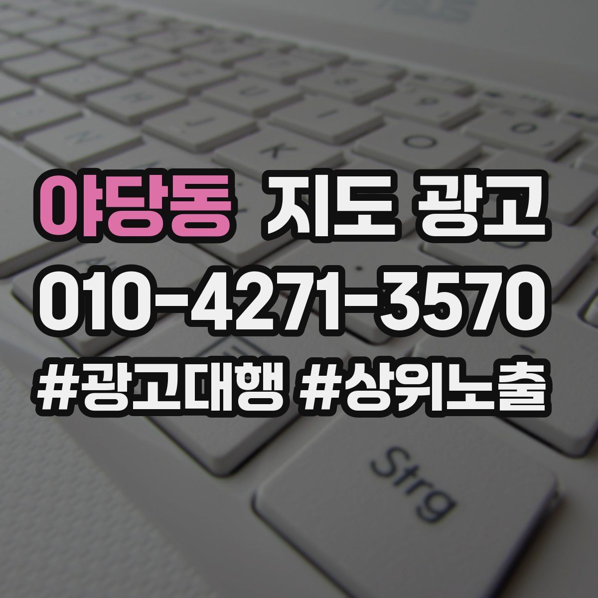 야당동 지도 광고