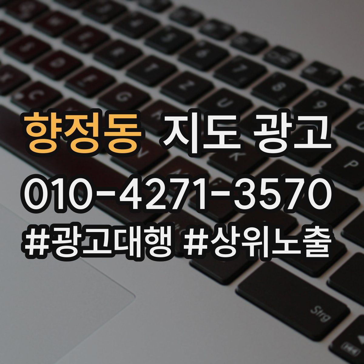 향정동 지도 광고