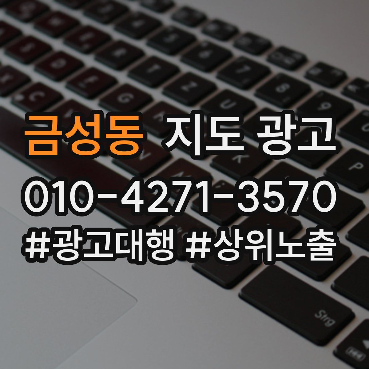 금성동 지도 광고