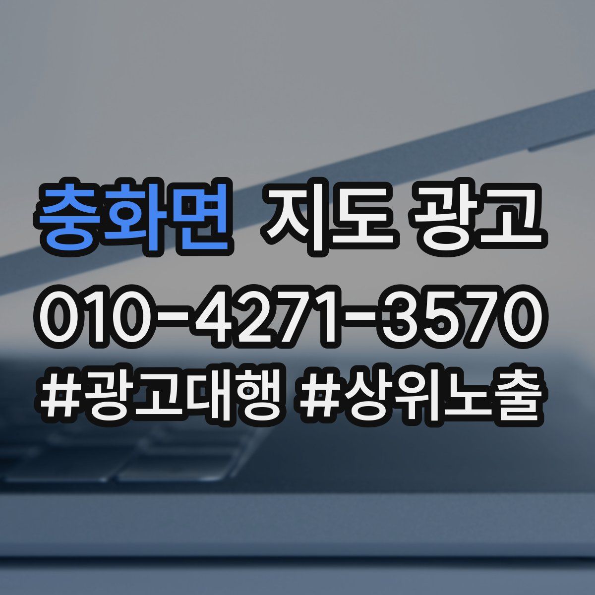 충화면 지도 광고