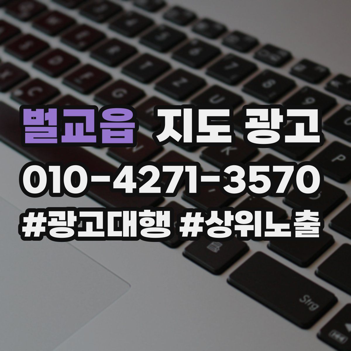 벌교읍 지도 광고