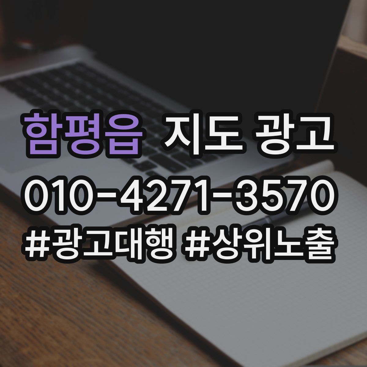 함평읍 지도 광고