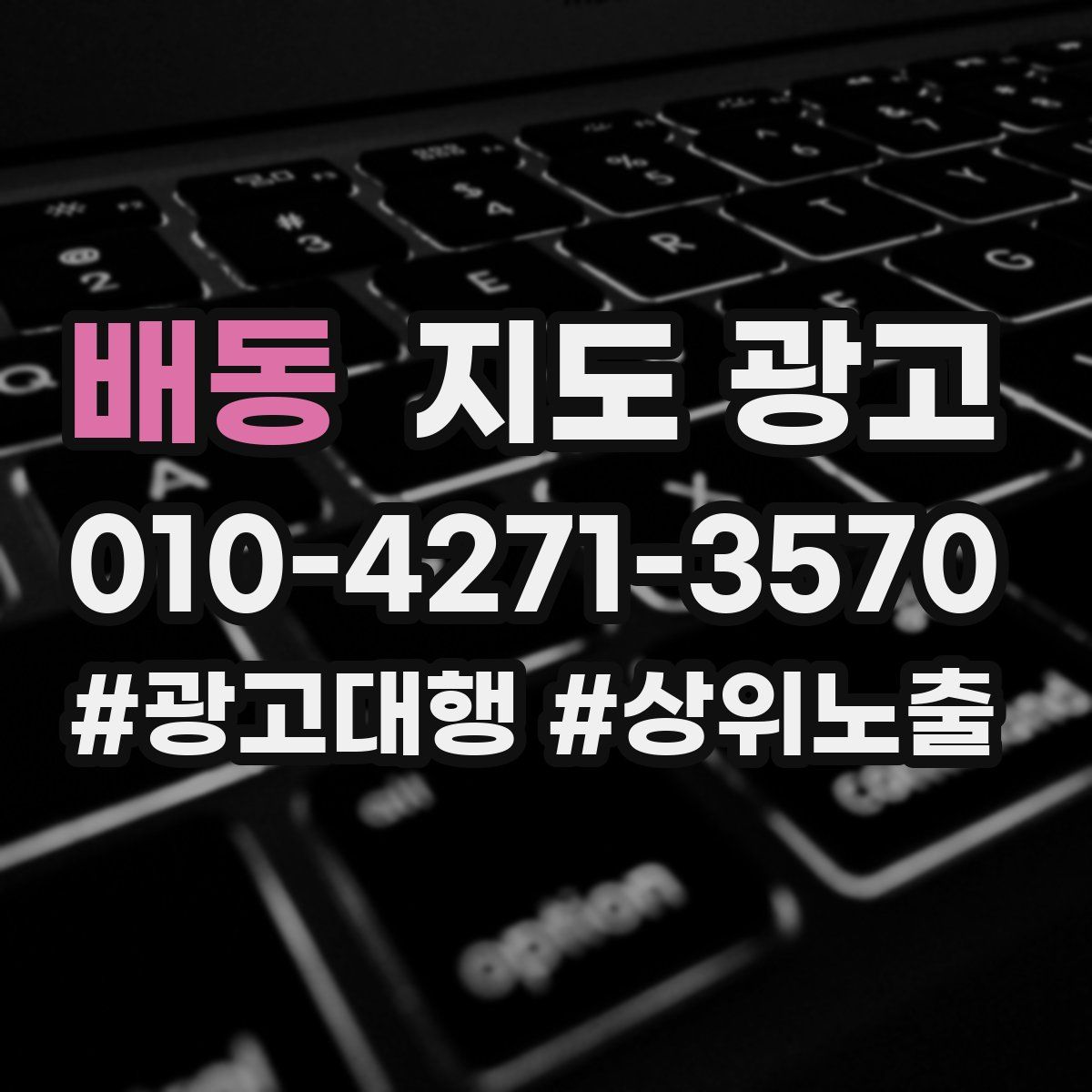 배동 지도 광고