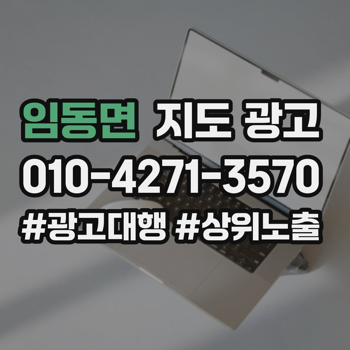 임동면 지도 광고