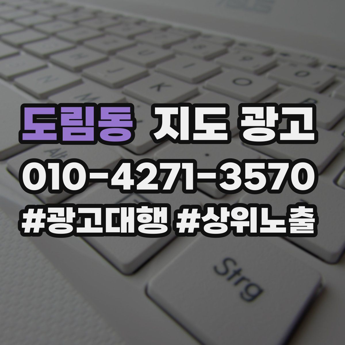 도림동 지도 광고