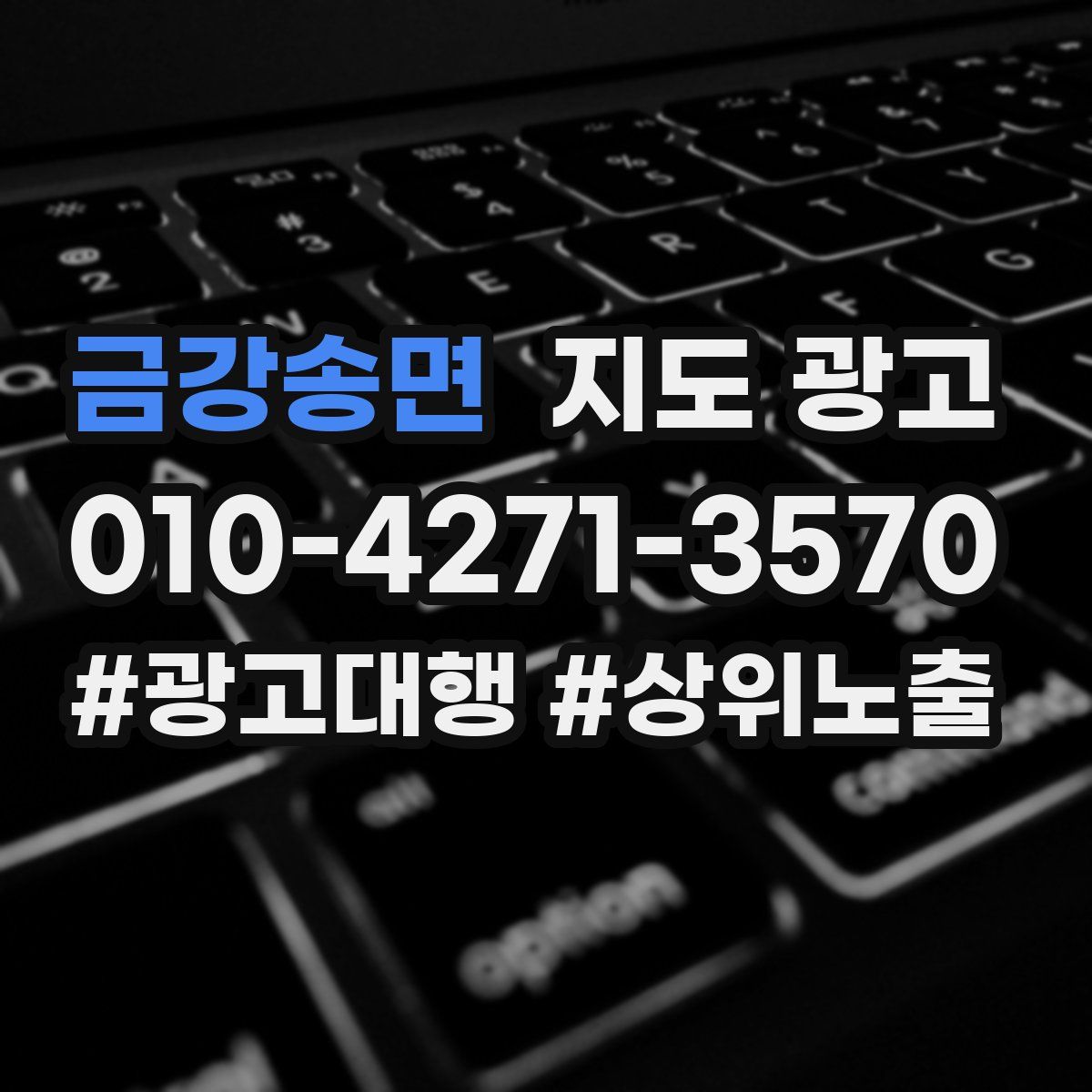 금강송면 지도 광고
