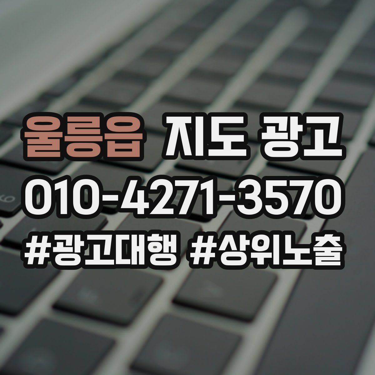 울릉읍 지도 광고