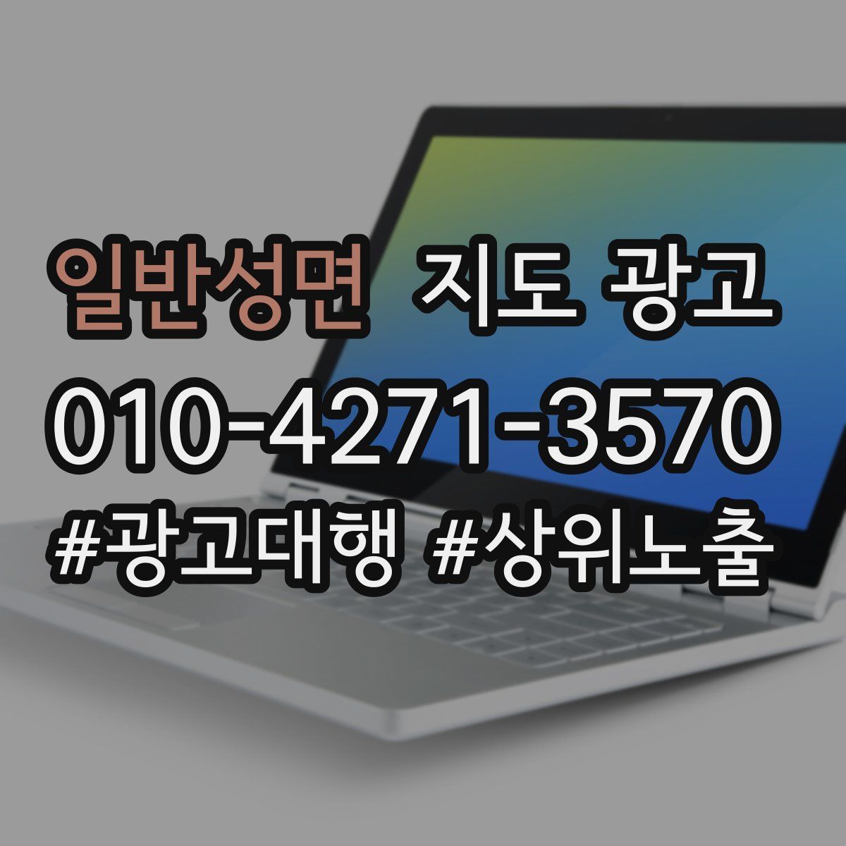 일반성면 지도 광고