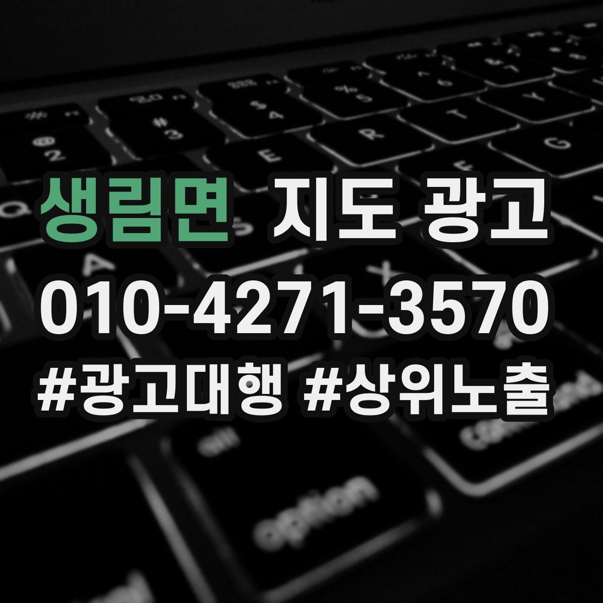 생림면 지도 광고