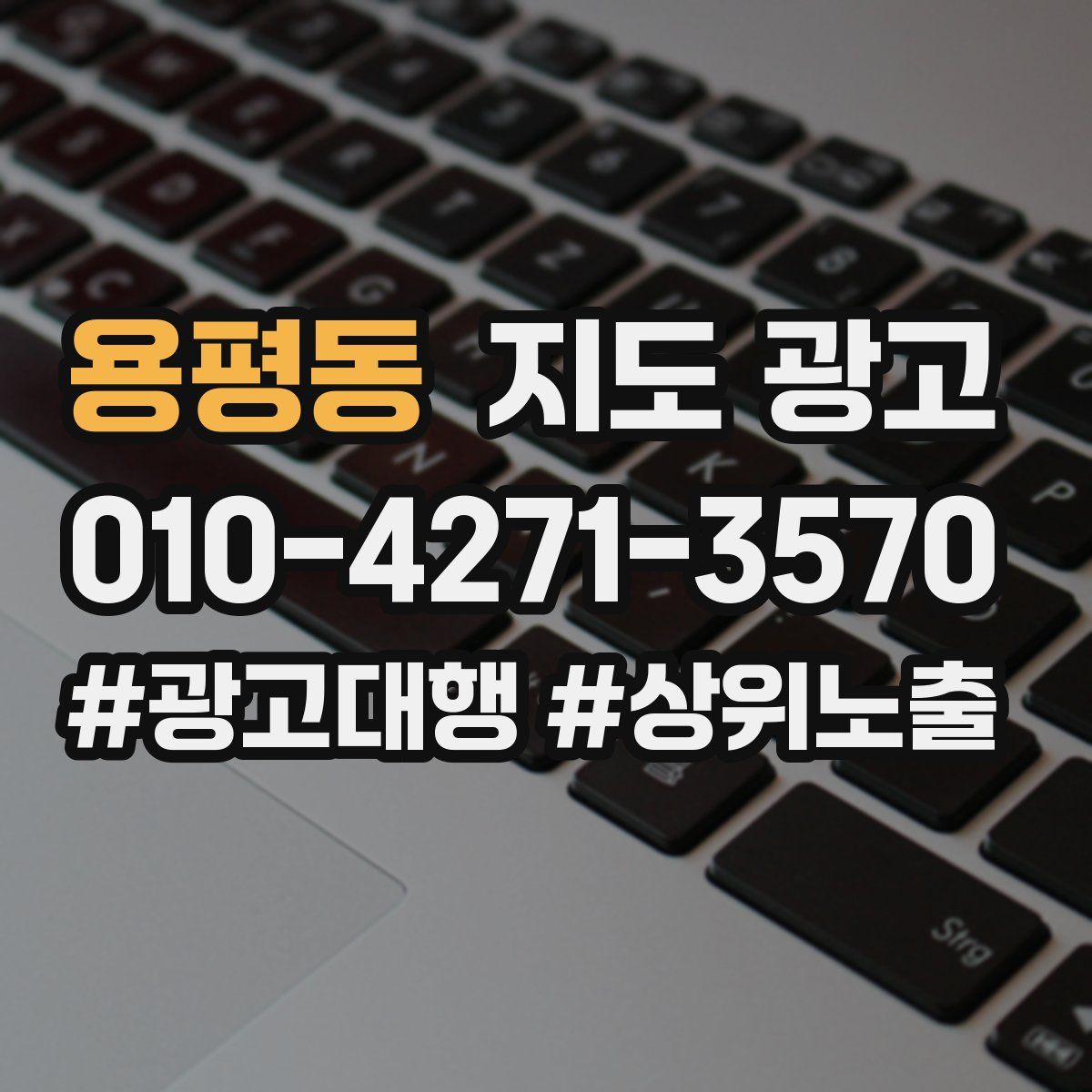 용평동 지도 광고