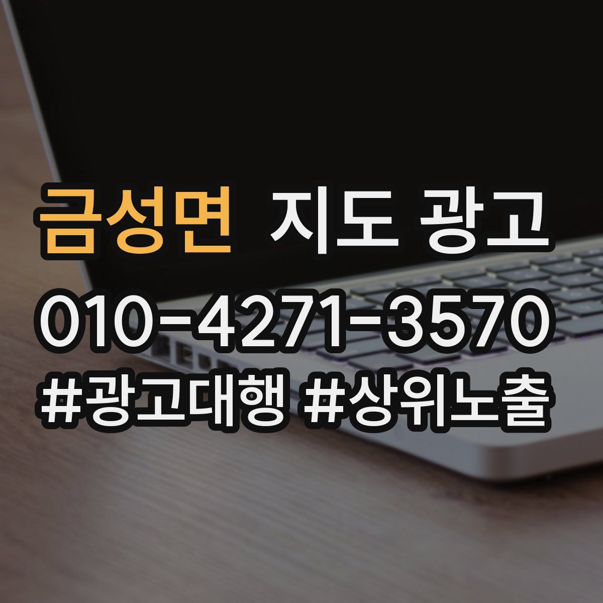 금성면 지도 광고