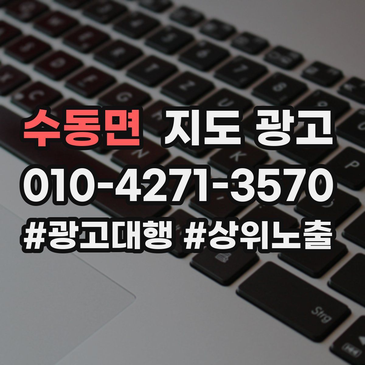 수동면 지도 광고