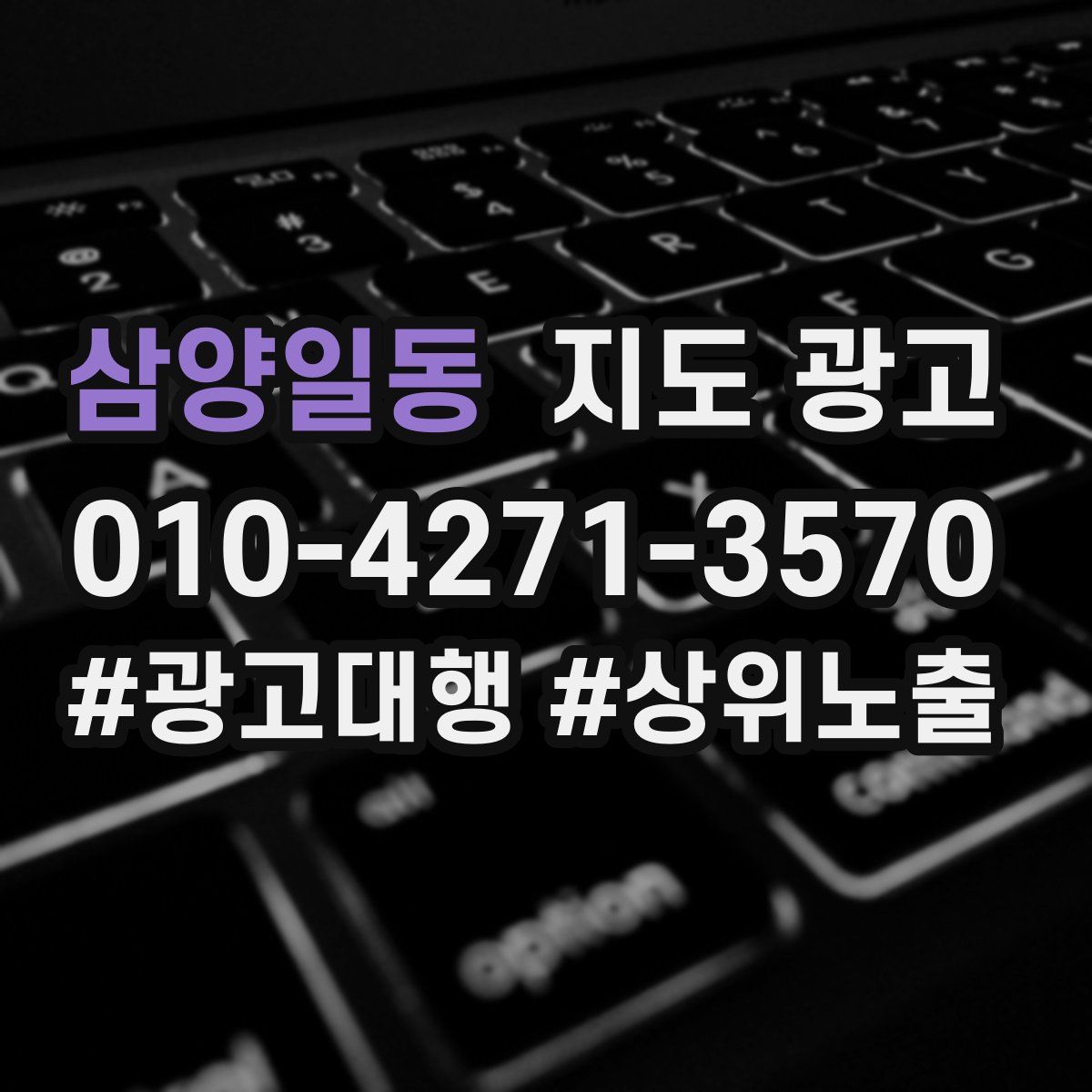 삼양일동 지도 광고