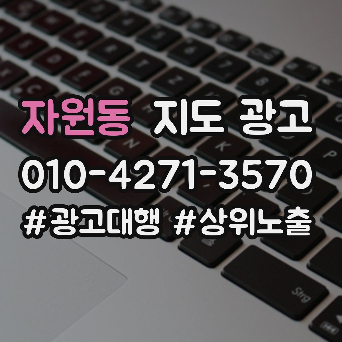 자원동 지도 광고