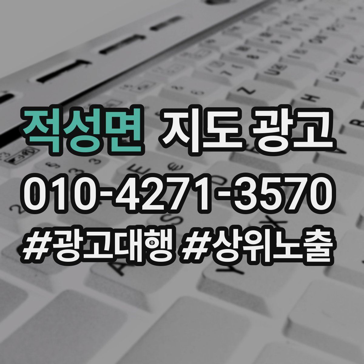 적성면 지도 광고