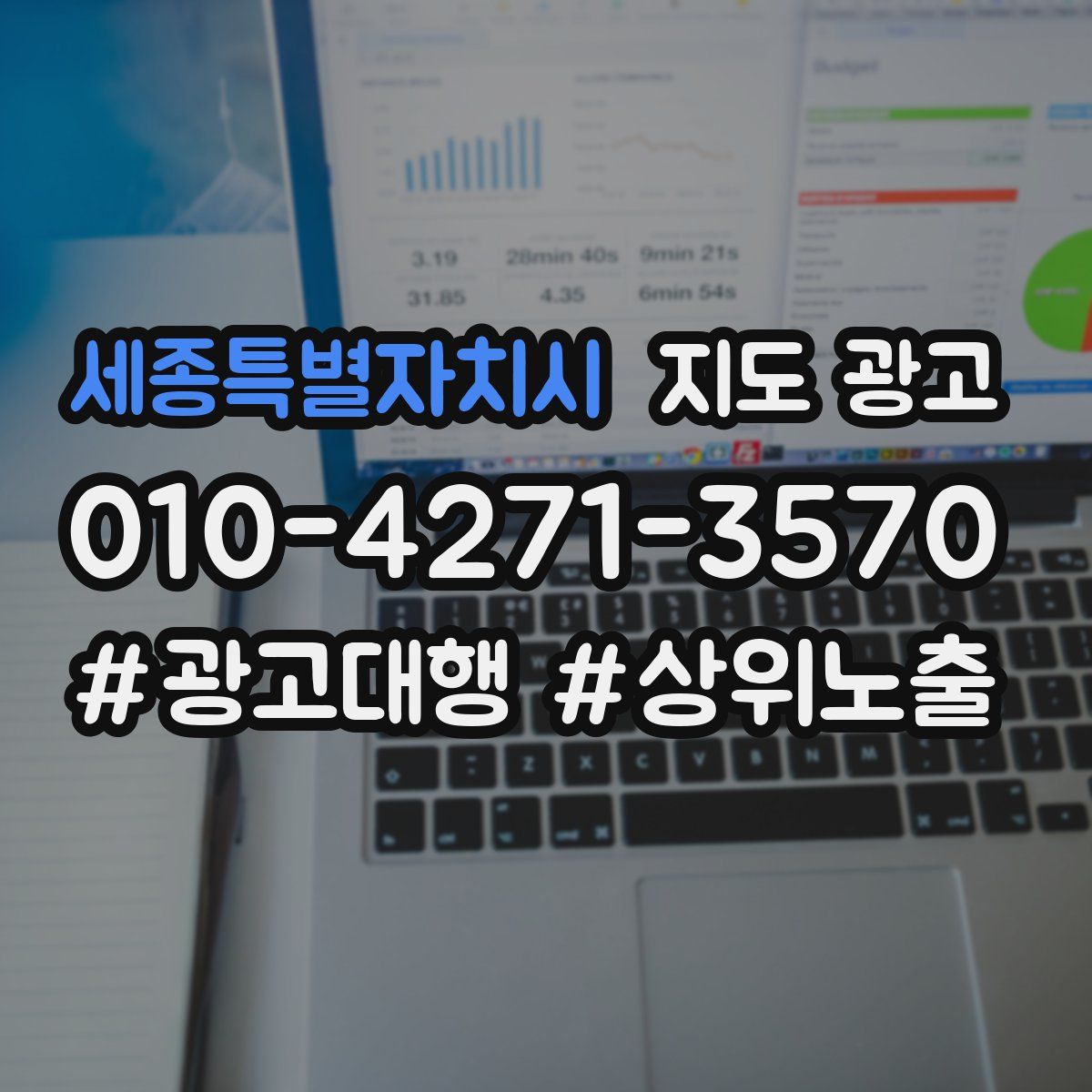세종특별자치시 지도 광고