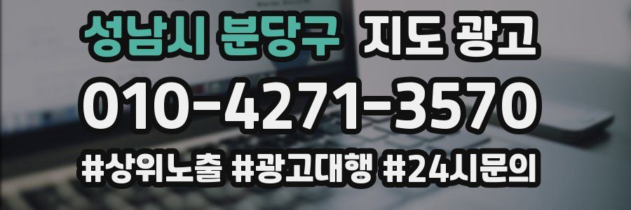 성남시 분당구 지도 광고