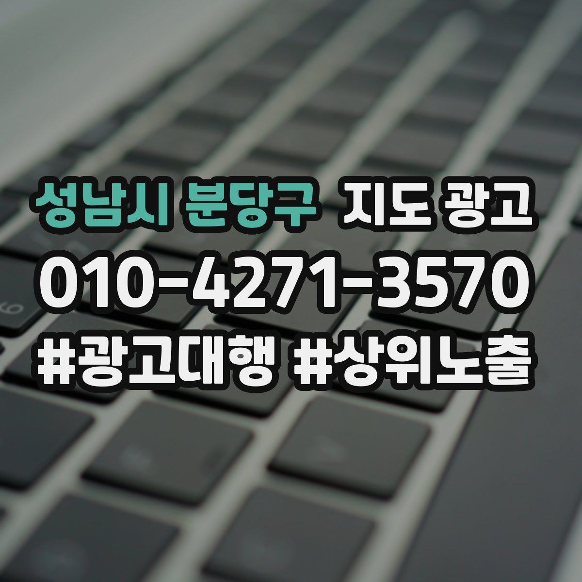 성남시 분당구 지도 광고