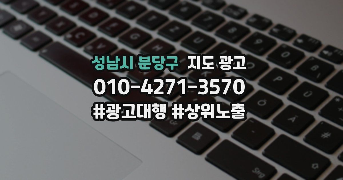 성남시 분당구 지도 광고