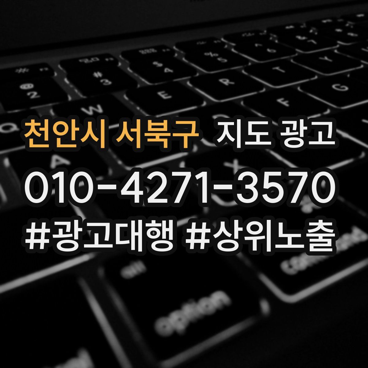 천안시 서북구 지도 광고