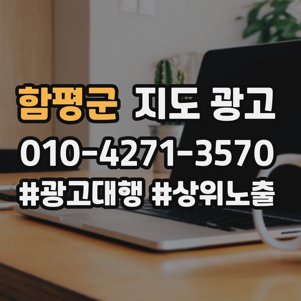 함평군 지도 광고