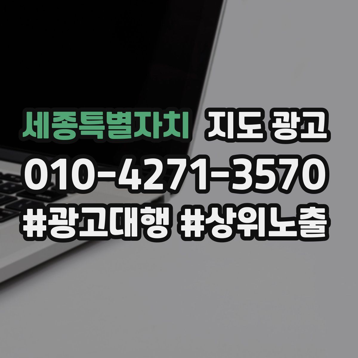 세종특별자치 지도 광고