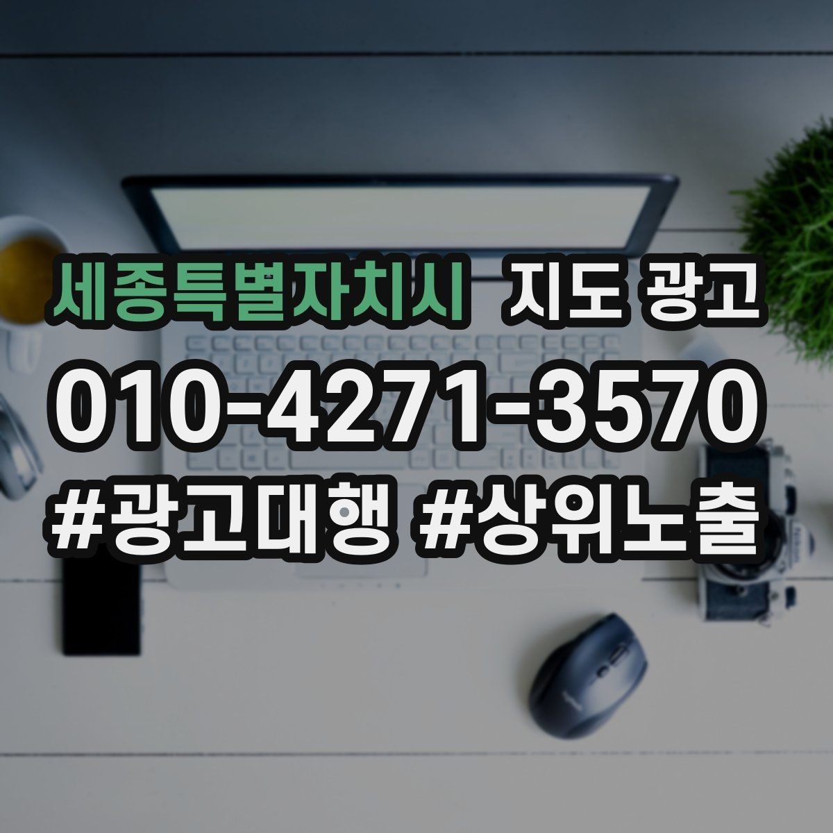 세종특별자치시 지도 광고 고객이 선택하기 쉬운 옵션 정리 방법