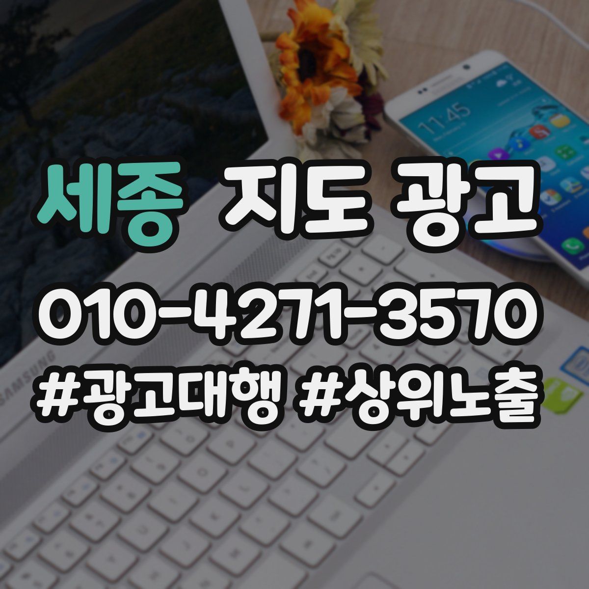 세종 지도 광고