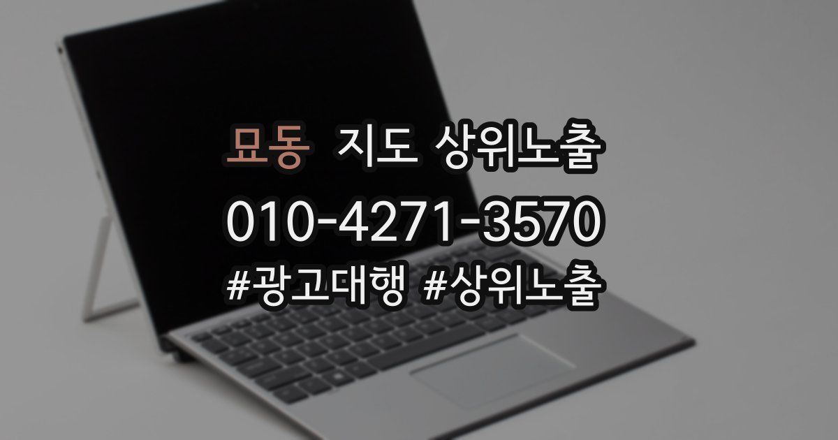 묘동 지도 상위 노출