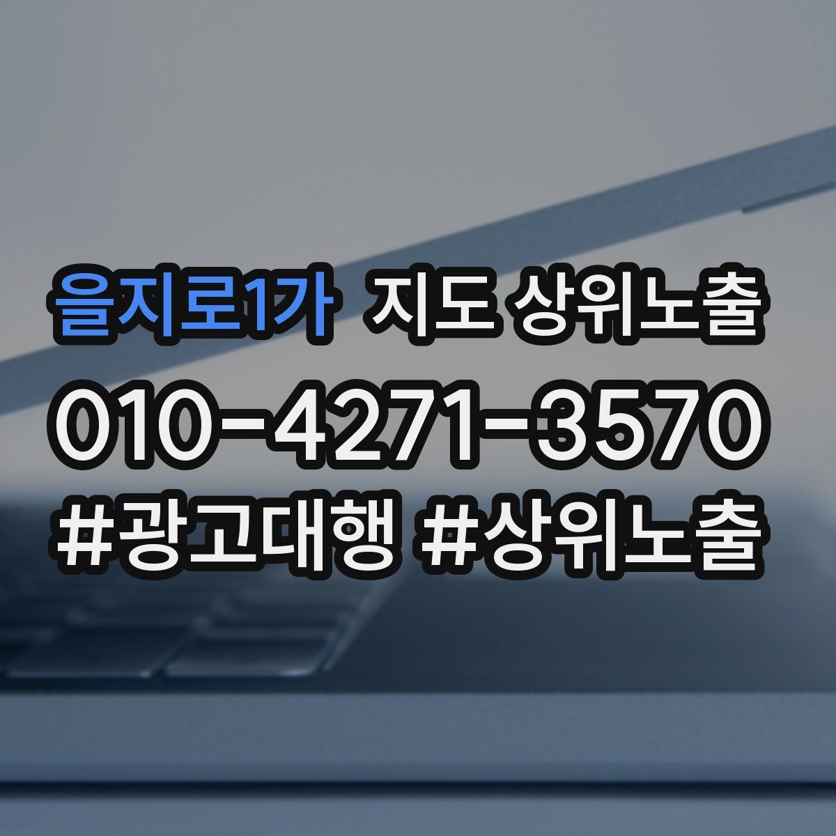 을지로1가 지도 상위 노출