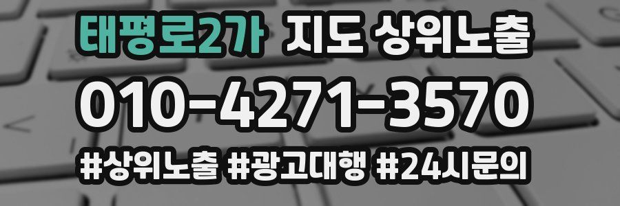 태평로2가 지도 상위 노출