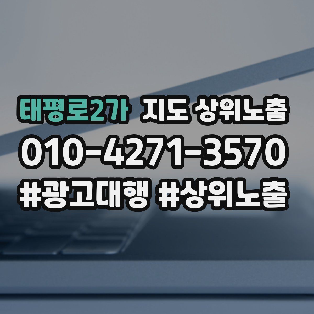 태평로2가 지도 상위 노출