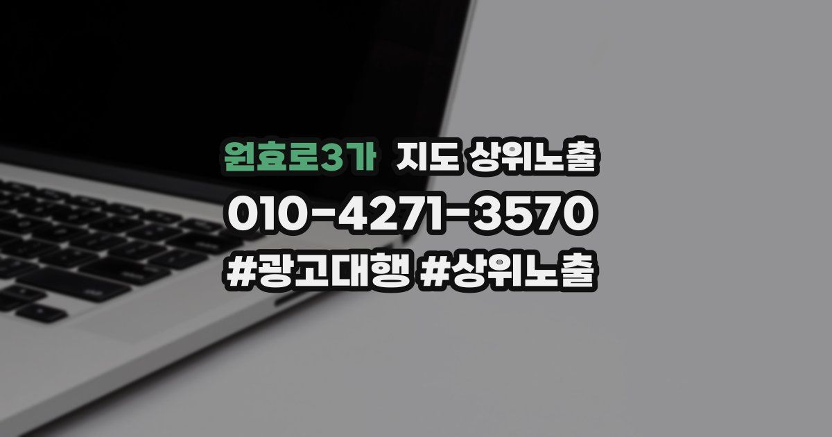원효로3가 지도 상위 노출