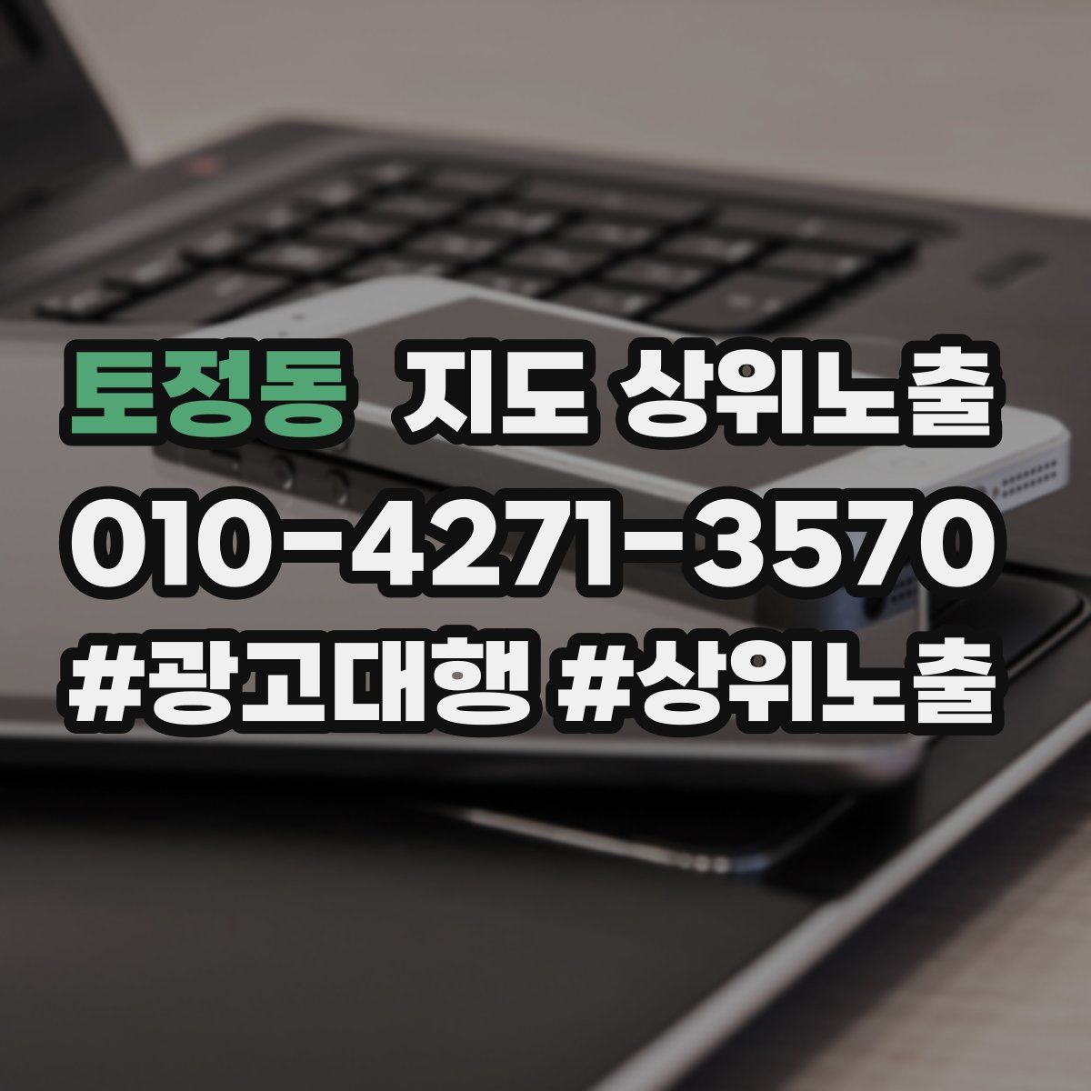 토정동 지도 상위 노출