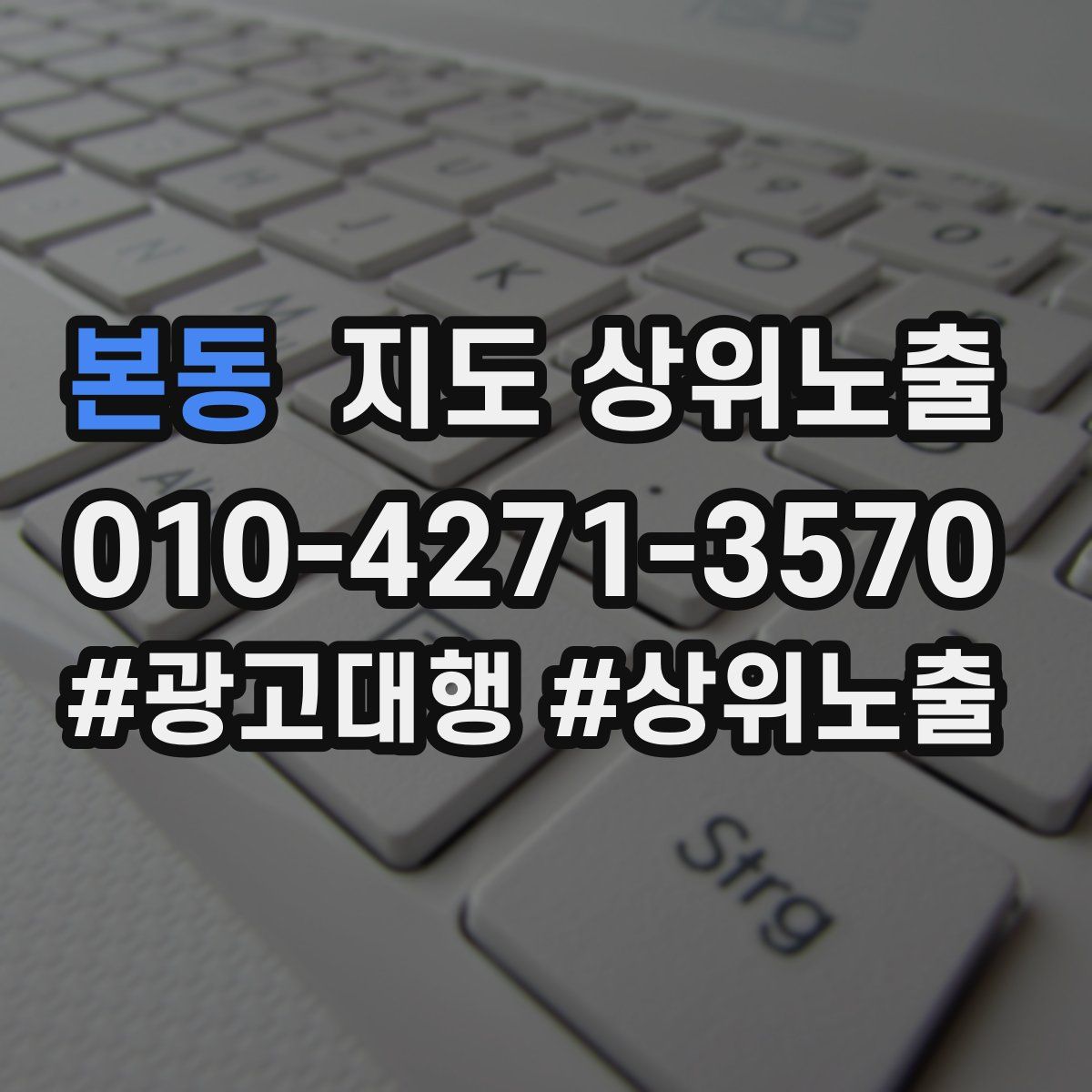본동 지도 상위 노출