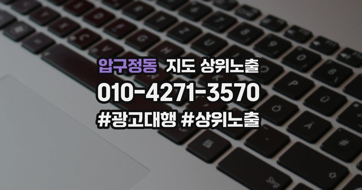 압구정동 지도 상위 노출