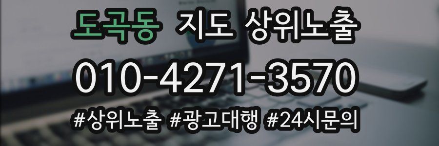 도곡동 지도 상위 노출