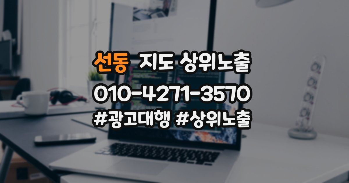 선동 지도 상위 노출