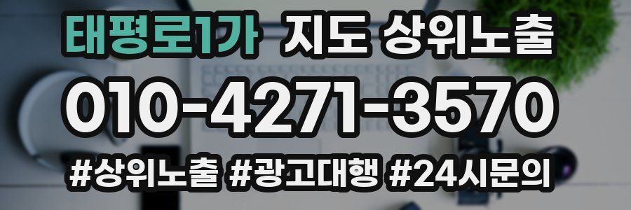 태평로1가 지도 상위 노출