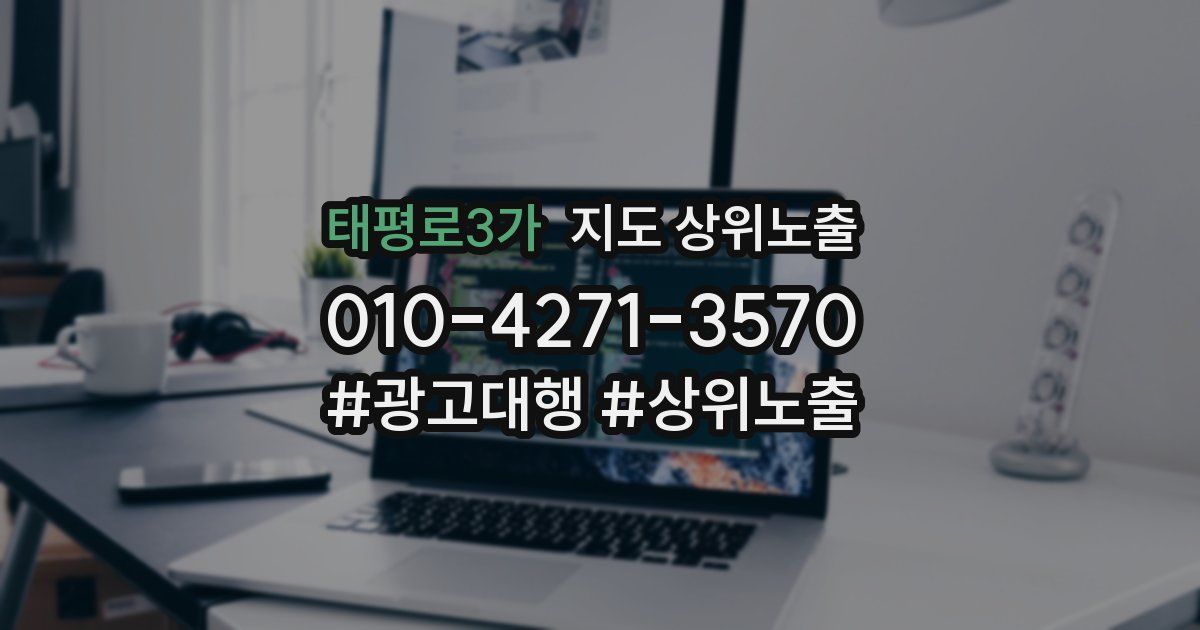 태평로3가 지도 상위 노출