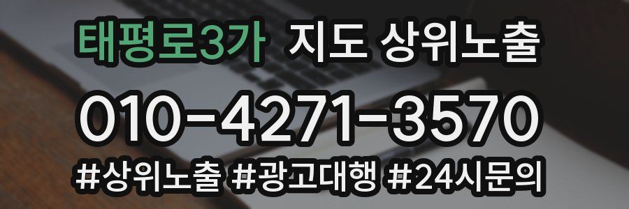태평로3가 지도 상위 노출