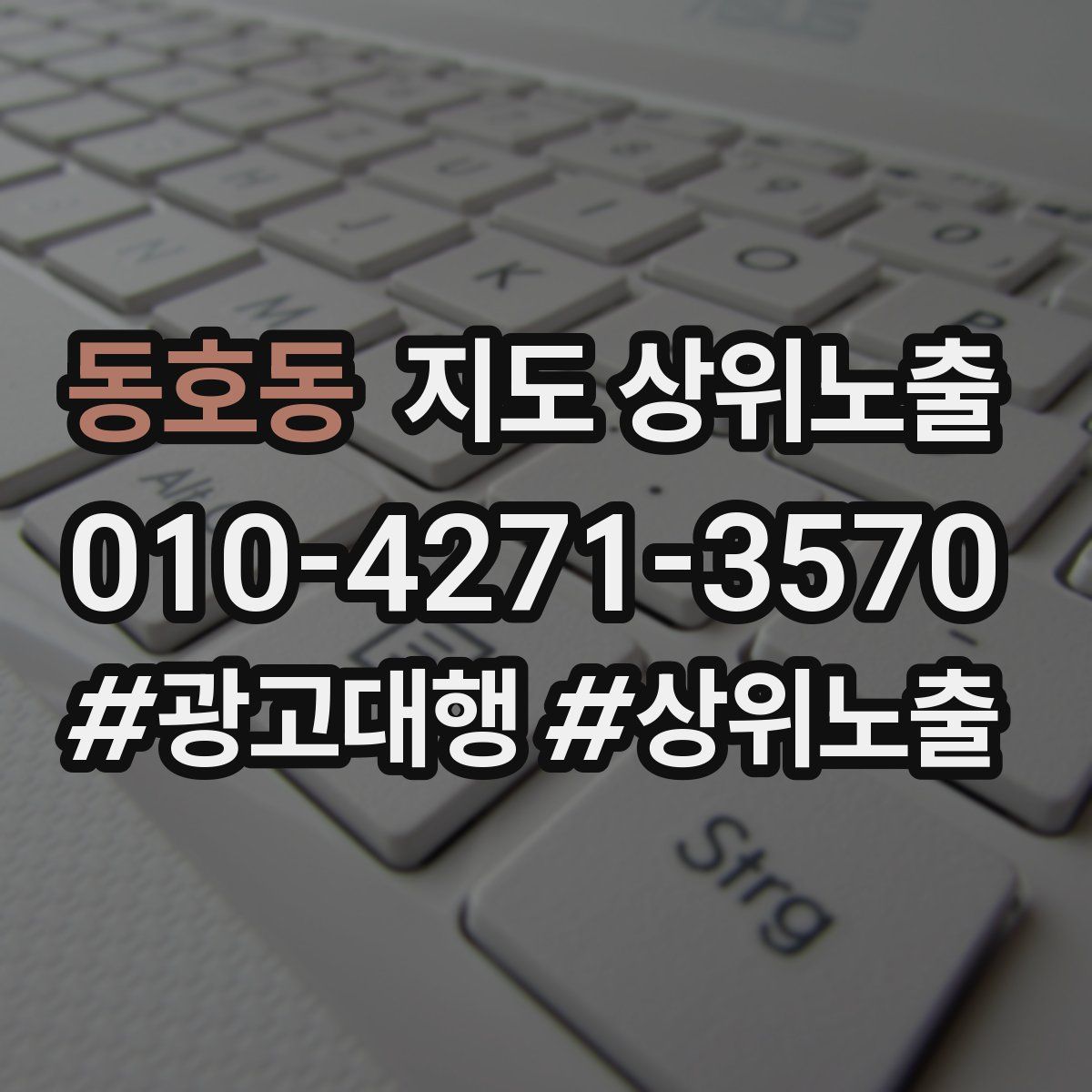 동호동 지도 상위 노출