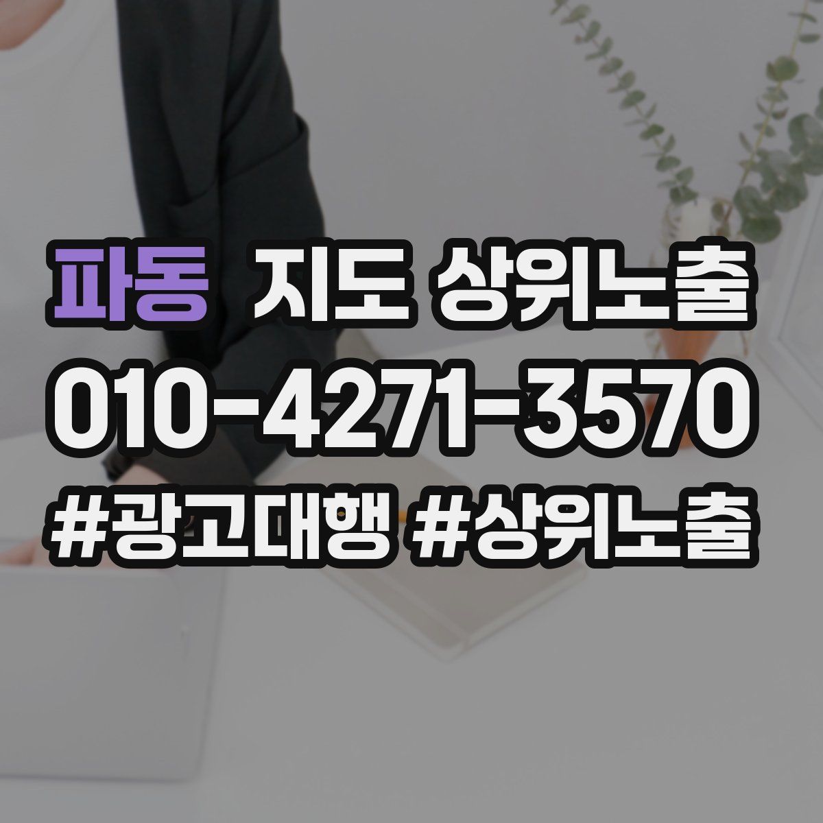 파동 지도 상위 노출