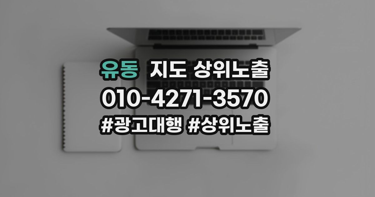 유동 지도 상위 노출