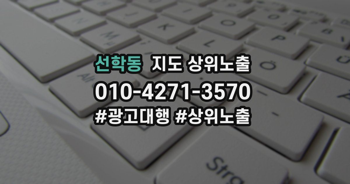 선학동 지도 상위 노출